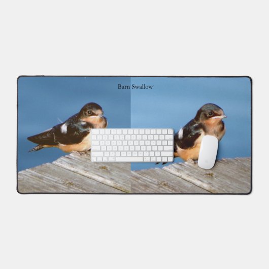 Schuur Zwaluw bureaumat (Keyboard & Muis)