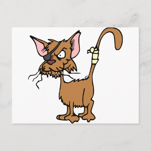 Schuurkat Briefkaart (Voorkant)