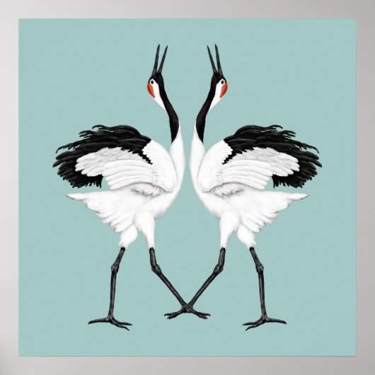 Schuurkranen Poster (Voorkant)