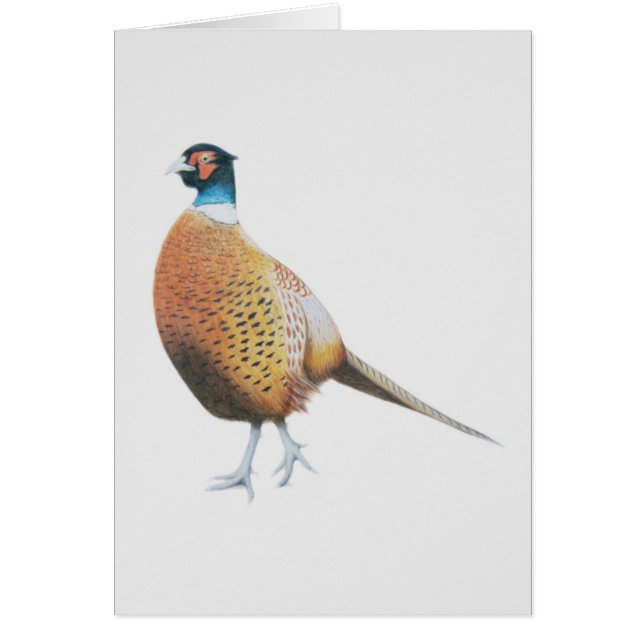 Schuurmiddel 2012 (Voorkant)