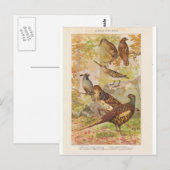 Schuurmiddel en ander spel briefkaart (Voorkant / Achterkant)