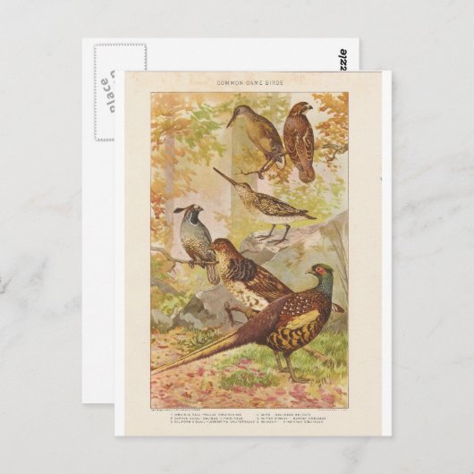 Schuurmiddel en ander spel briefkaart (Voorkant / Achterkant)