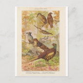 Schuurmiddel en ander spel briefkaart (Voorkant)