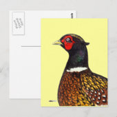 Schuurmiddel: ringhalskop briefkaart (Voorkant / Achterkant)