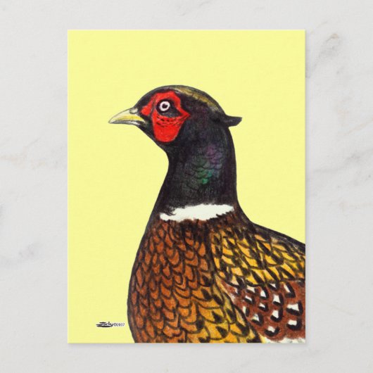 Schuurmiddel: ringhalskop briefkaart (Voorkant)