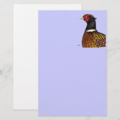 Schuurmiddel: ringhalskop briefpapier (Voorkant / Achterkant)