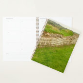 Schuurpanner voor Hadrianen Planner (Display)