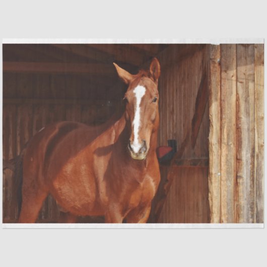 schuurpapier voor paarden tissuepapier (Voorkant)