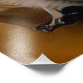 Schuuruil 🦉 foto afdruk (Hoek)