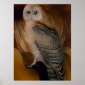 Schuuruil 🦉 poster (Voorkant)