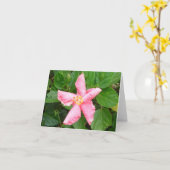 Schuwe Hibiscus Kaart (Gele Bloem)