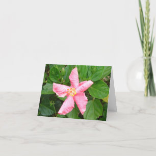 Schuwe Hibiscus Kaart