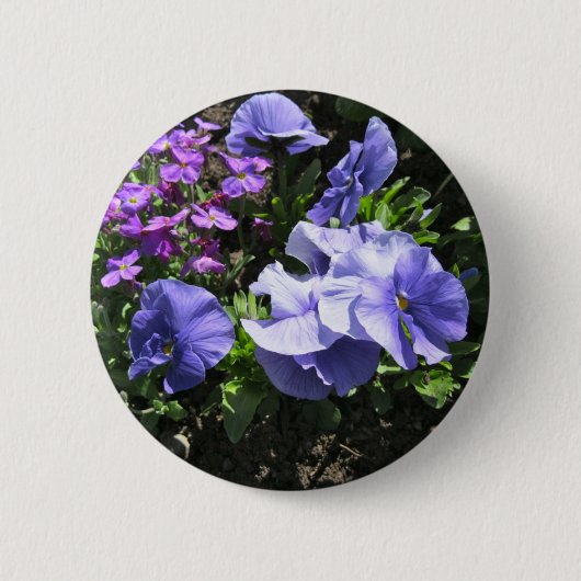Schuwe Paarse Pansies Ronde Button 5,7 Cm (Voorkant)