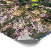 Schuylkill River Trail Oaks PA Poster (Hoek)