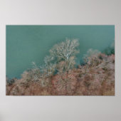 Schuylkill River Trees Sanatoga Poster (Voorkant)