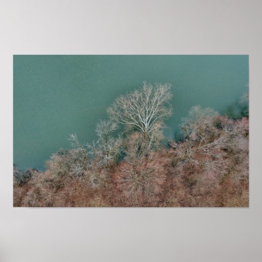 Schuylkill River Trees Sanatoga Poster (Voorkant)