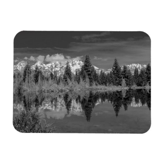 Schwabacher Landing Magneet (Horizontaal)