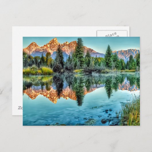 Schwabacher's Landing and Beaver Pond Briefkaart (Voorkant / Achterkant)