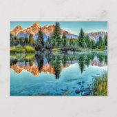 Schwabacher's Landing and Beaver Pond Briefkaart (Voorkant)