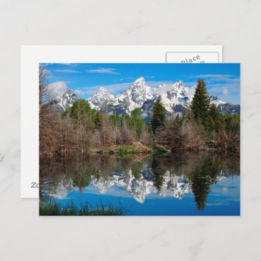 Schwabacher's Landing, Grand Teton Briefkaart (Voorkant / Achterkant)