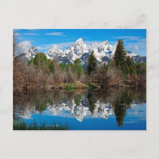 Schwabacher's Landing, Grand Teton Briefkaart (Voorkant)