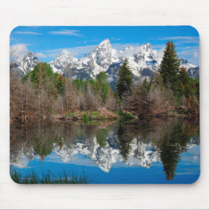 Schwabacher's Landing, Grand Teton Muismat