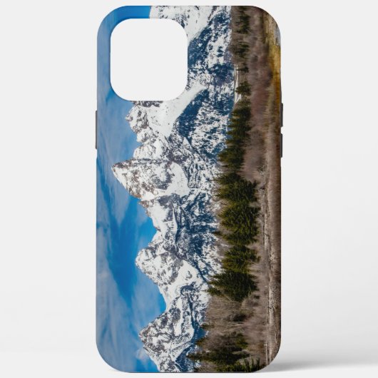 Schwabacher's Landing Winter Case-Mate iPhone Case (Achterkant)