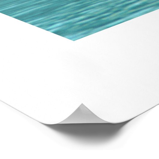 Schwanenfamilie Poster (Hoek)