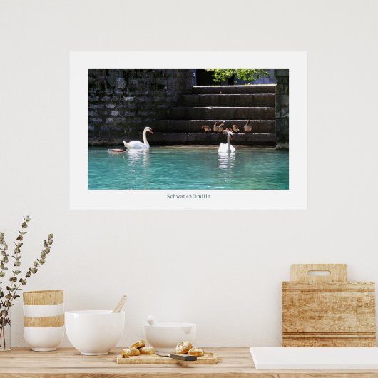 Schwanenfamilie Poster (Keuken)