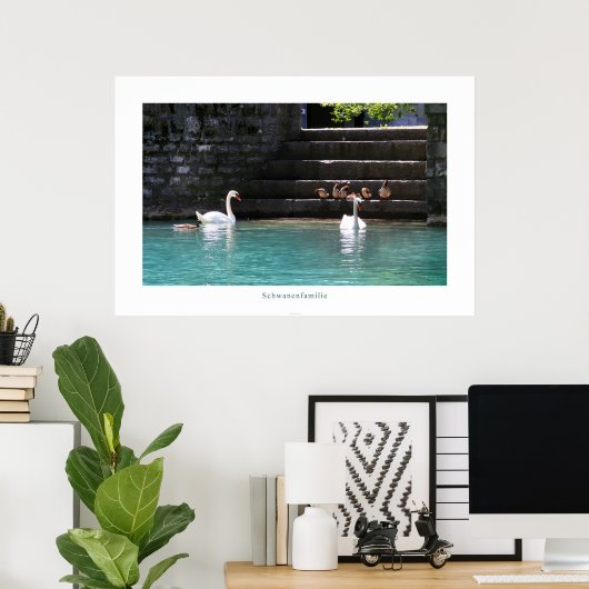 Schwanenfamilie Poster (Thuiskantoor)