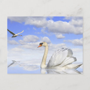 Schwanensee Briefkaart