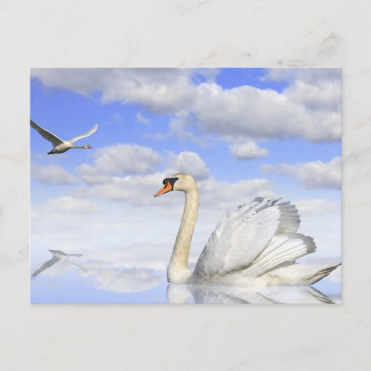 Schwanensee Briefkaart (Voorkant)