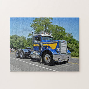 Schwanger's Naaldneus Puzzle Legpuzzel