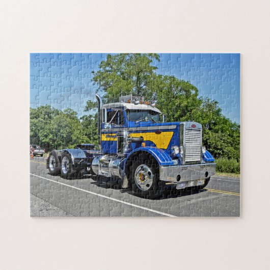 Schwanger's Naaldneus Puzzle Legpuzzel (Horizontaal)