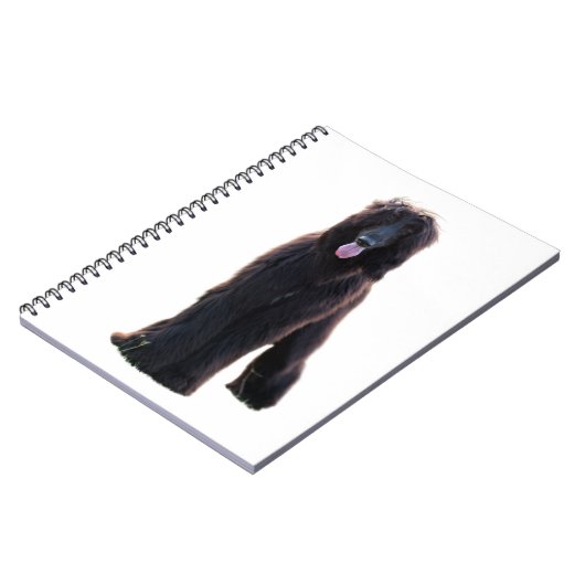 Schwarzer Afghanane Notitieboek (Linkerzijde)