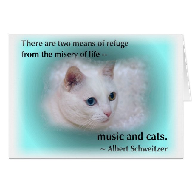 Schweitzer's kat (Voorkant Horizontaal)