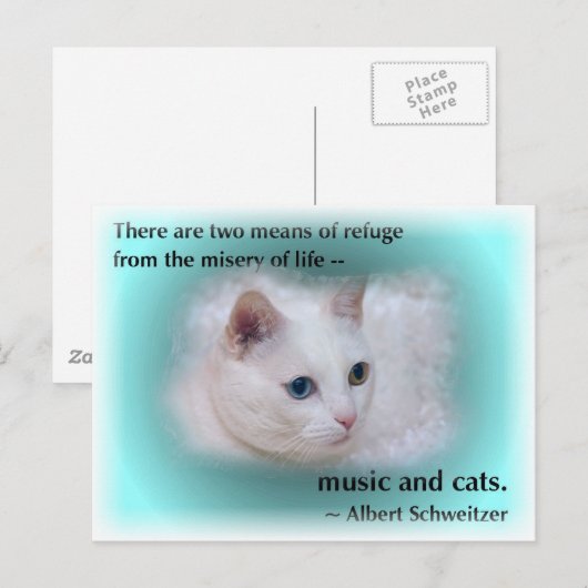 Schweitzer's kat briefkaart (Voorkant / Achterkant)