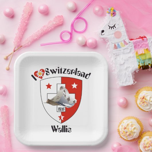 Schweiz Suisse Svizzera Svizra Switzerland Teller Papieren Bordje (Feest)