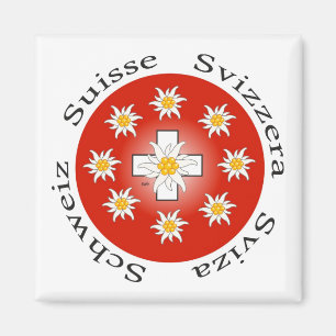 Schweiz Suisse Svizzera Svizra Zwitserland Magnet