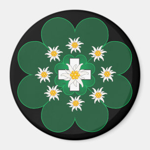 Schweiz Suisse Svizzera Svizra Zwitserland Magnet
