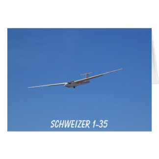 Schweizer 1-35 zweefvliegtuig