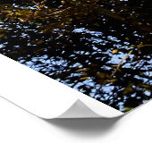 Schweizer die binnenkomt om te landen poster (Hoek)