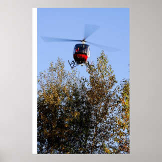 Schweizer die binnenkomt om te landen poster