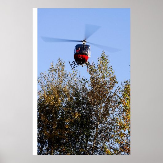 Schweizer die binnenkomt om te landen poster (Voorkant)