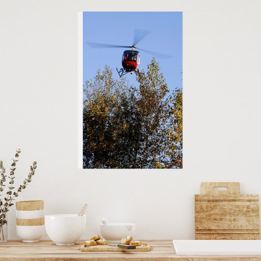 Schweizer die binnenkomt om te landen poster (Keuken)