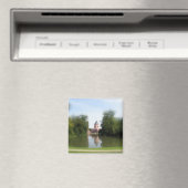 Schwetzingen Gardens, Duitsland moskee Magneet (Insitu (Vaatwasser))