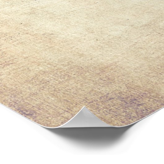 Schwinn Bicycle Patent Poster (Hoek)