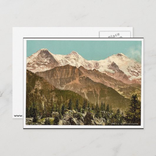 Schynige Platte, Eiger, Monch en Jungfrau, Bernes Briefkaart (Voorkant / Achterkant)