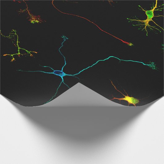 science cadeaupapier (Hoek)