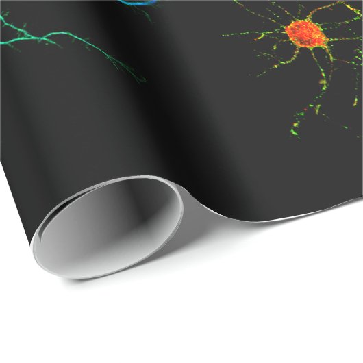 science cadeaupapier (Rol Hoek)